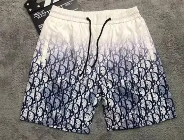 Dior shorts — Pants find on the LitBuy Spreadsheet